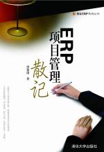 ERP 项目管理散记